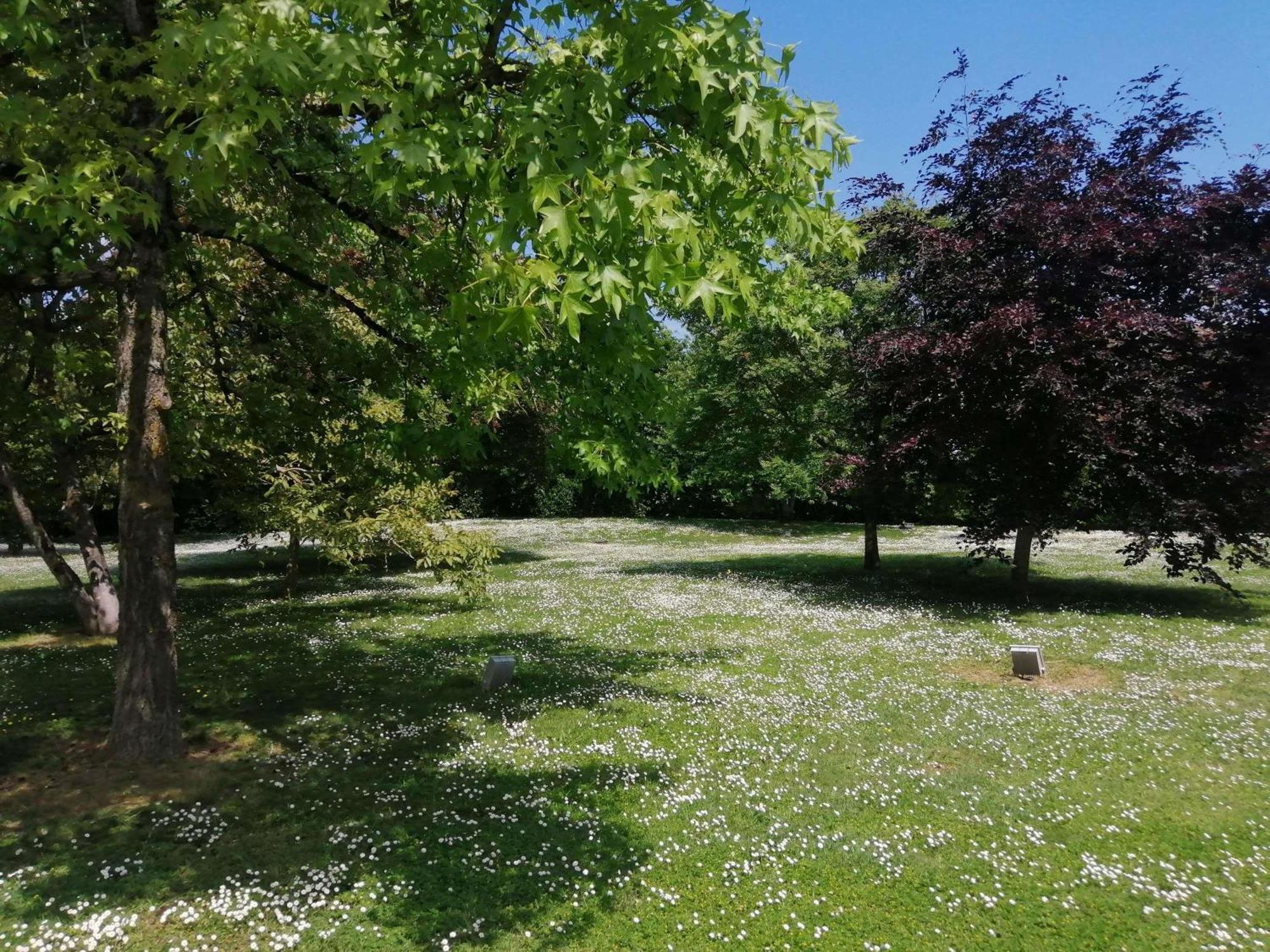 Ibis Styles Tours Sud Hotel Chambray-les-Tours Bagian luar foto